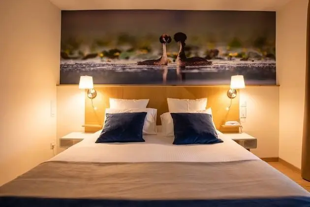 Superior Tek Büyük Yataklı Oda