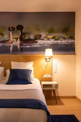 Superior Tek Büyük Yataklı Oda