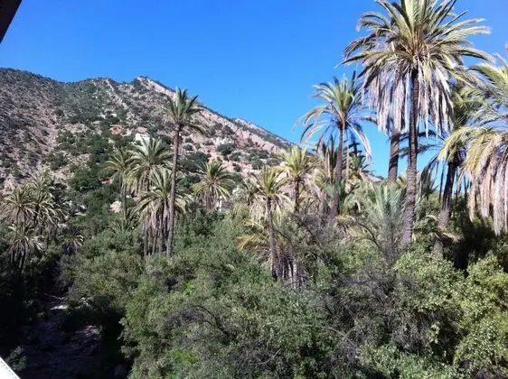 Traditional Tek Büyük Yataklı Oda, 1 Çift Kişilik Yatak, Sigara İçilmez, Dağ Manzaralı