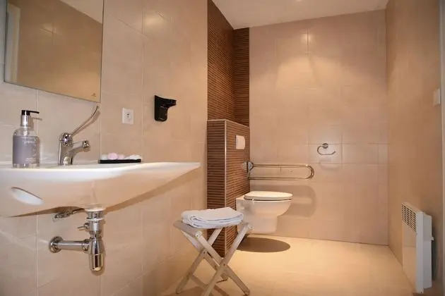 Comfort Tek Büyük Yataklı Oda, Engellilere Uygun (Chalet)