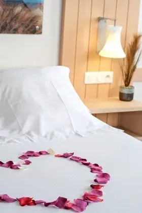 Tek Büyük Yataklı Oda, Havuz Kullanımı, Şehir Manzaralı