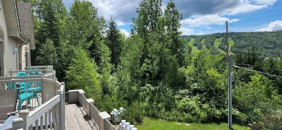 Stüdyo, Dağ Manzaralı (Pavillon 500)