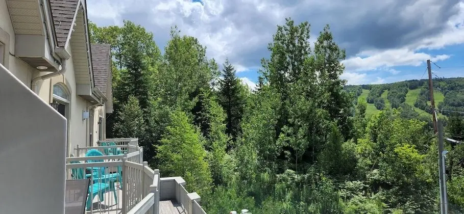 Stüdyo, Dağ Manzaralı (Pavillon 500)