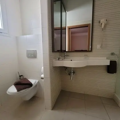 Standard Tek Büyük Yataklı Oda, 1 En Büyük (King) Boy Yatak