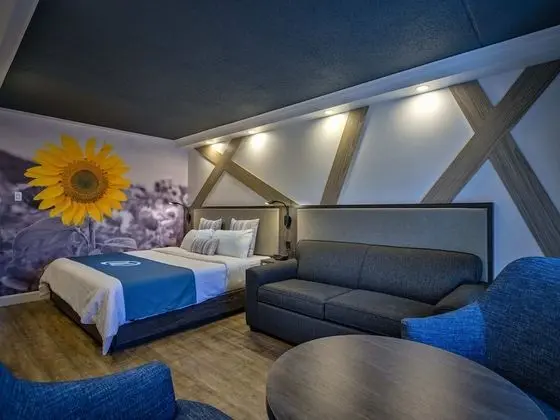 Classic Oda, 1 En Büyük (King) Boy Yatak