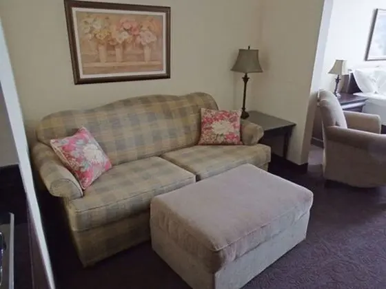 Junior Süit, 1 En Büyük (King) Boy Yatak ve Çekyat