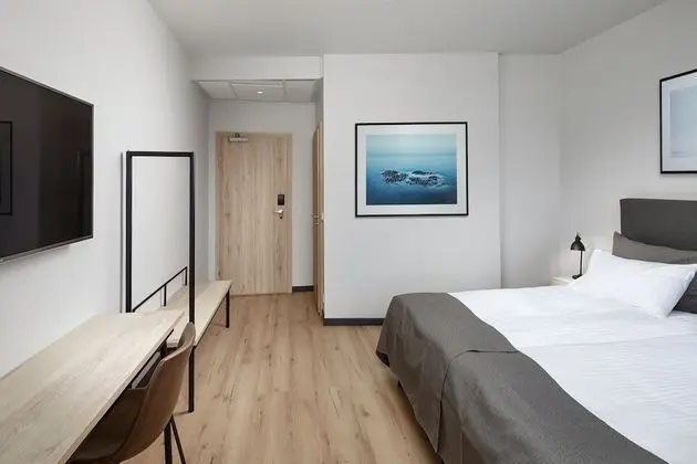 Deluxe Oda, 1 Büyük (Queen) Boy Yatak, Zemin Kat