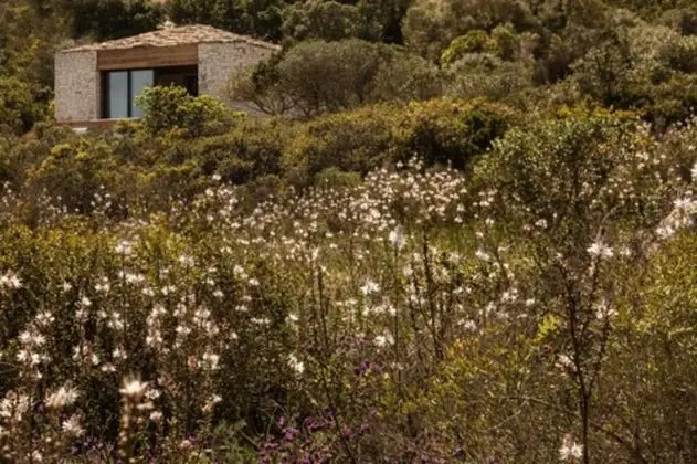 Süit, Sıcak Su Havuzu