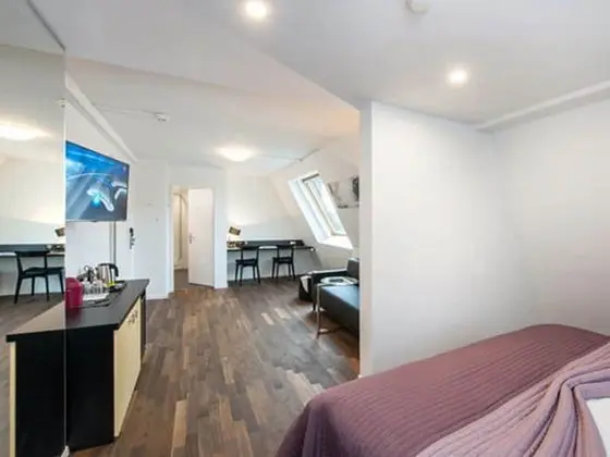 Comfort Tek Büyük Yataklı Oda, 1 Yatak Odası