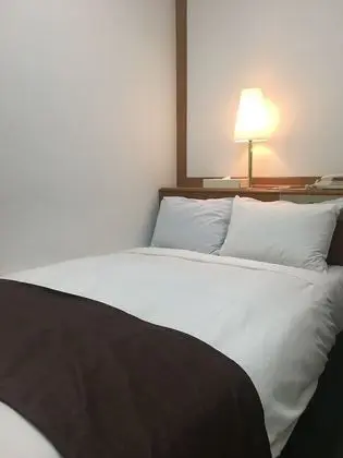 Economy Tek Büyük Yataklı Oda, Sigara İçilebilir (Small Double Bed)