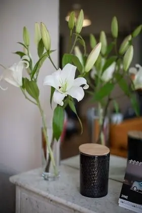 Design Apart Daire, Banyolu/Duşlu, Şehir Manzaralı