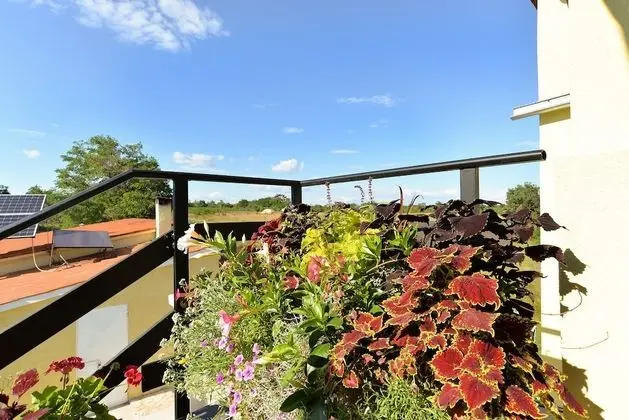 Standard Ev, 4 Yatak Odası (0263)