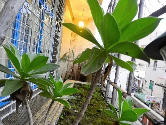 Gallery Dört Kişilik Oda, 1 Yatak Odası, Balkon