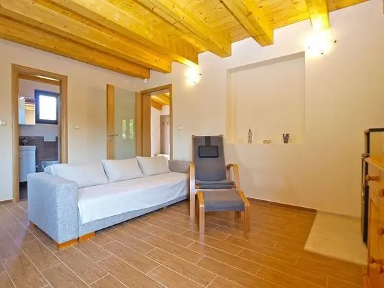 Standard Ev, 1 Yatak Odası (0321)