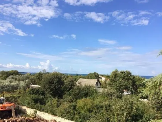 Standard Ev, 4 Yatak Odası (21557)