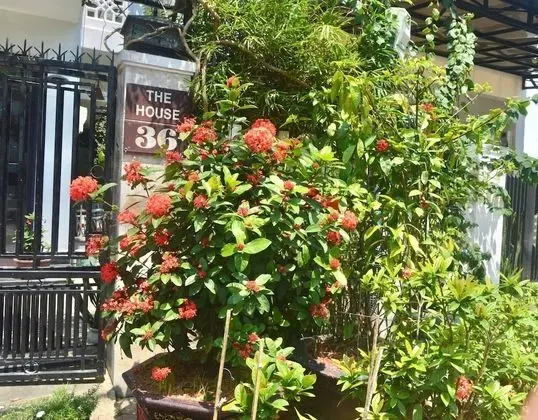 Deluxe Tek Büyük Yataklı Oda, Balkon