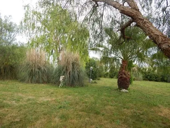 Bungalov, 2 Yatak Odası, Engellilere Uygun, Sigara İçilebilir