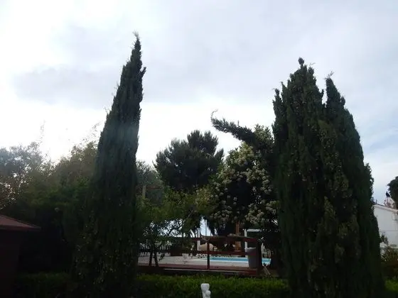 Bungalov, 2 Yatak Odası, Engellilere Uygun, Sigara İçilebilir