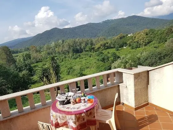 Standard Üç Kişilik Oda, Park Manzaralı