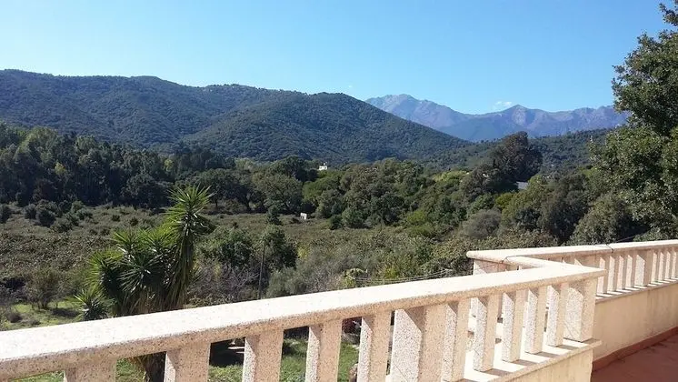 Standard Üç Kişilik Oda, Park Manzaralı