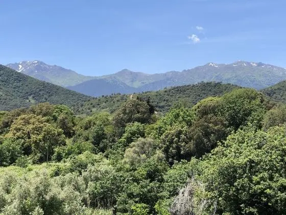 Tek Büyük Yataklı Oda, Banyolu/Duşlu, Dağ Manzaralı