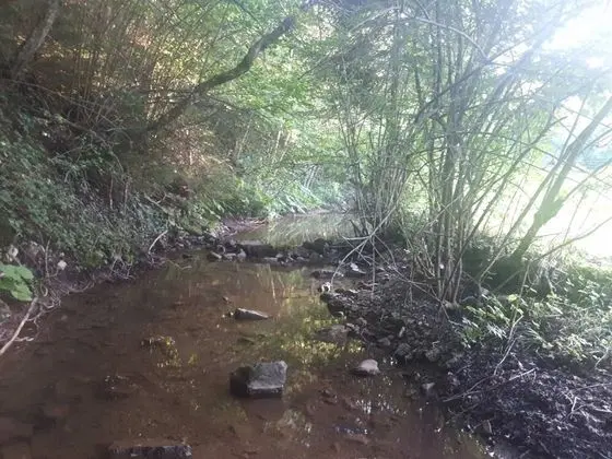 Ev, Birden Çok Yatak