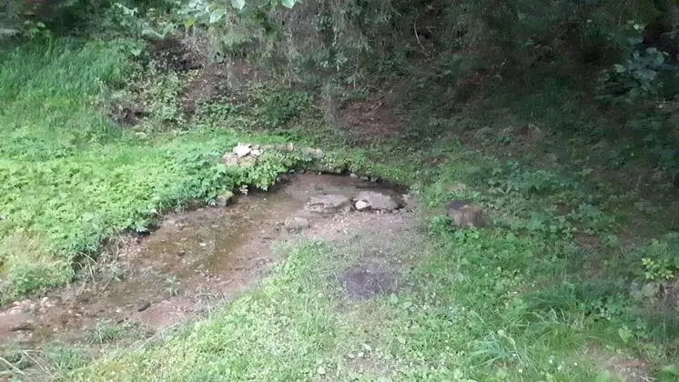 Ev, Birden Çok Yatak