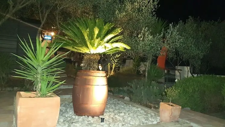 Ev, 1 Yatak Odası, Teras