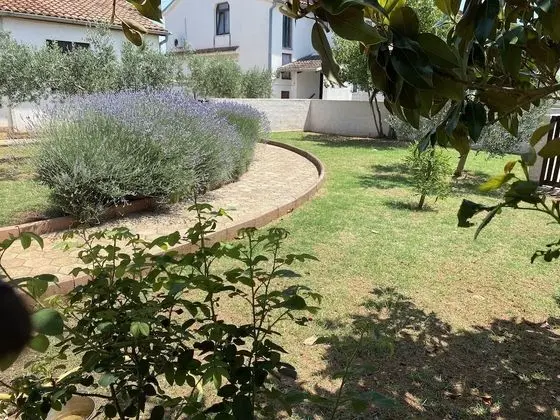 Ev, 3 Yatak Odası, Sigara İçilebilir, Teras