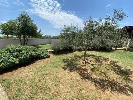 Ev, 3 Yatak Odası, Sigara İçilebilir, Teras