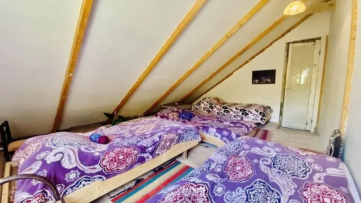 Comfort Dört Kişilik Oda