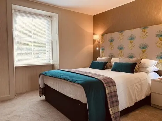 Deluxe Tek Büyük Yataklı Oda, Engellilere Uygun (Hebe)