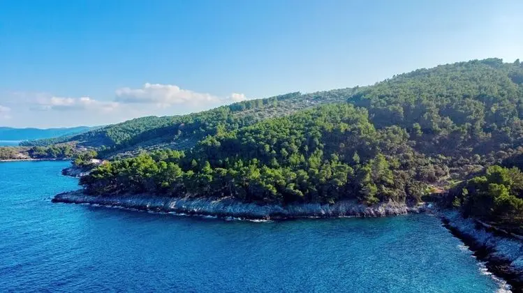 Ev (One Bedroom House with Terrace)