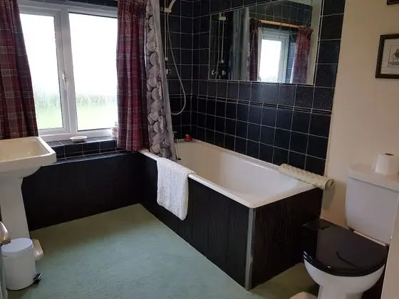 Superior Tek Büyük Yataklı Oda, Ortak Banyo