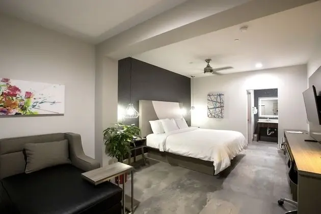Luxury Tek Kişilik Oda, 1 En Büyük (King) Boy Yatak, Sigara İçilebilir