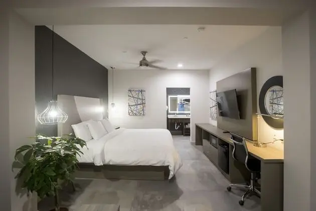 Luxury Tek Kişilik Oda, 1 En Büyük (King) Boy Yatak, Sigara İçilebilir
