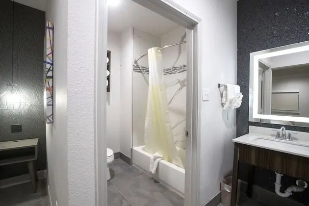 Luxury Tek Kişilik Oda, 1 En Büyük (King) Boy Yatak, Sigara İçilebilir