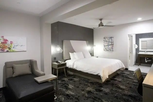 Luxury Tek Kişilik Oda, 1 En Büyük (King) Boy Yatak, Sigara İçilmez