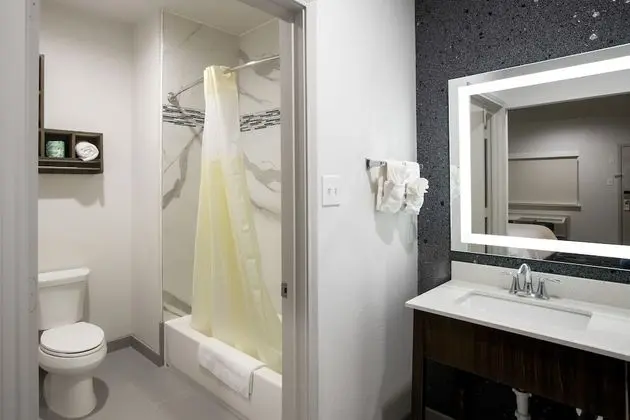 Luxury Tek Kişilik Oda, 1 En Büyük (King) Boy Yatak, Sigara İçilmez