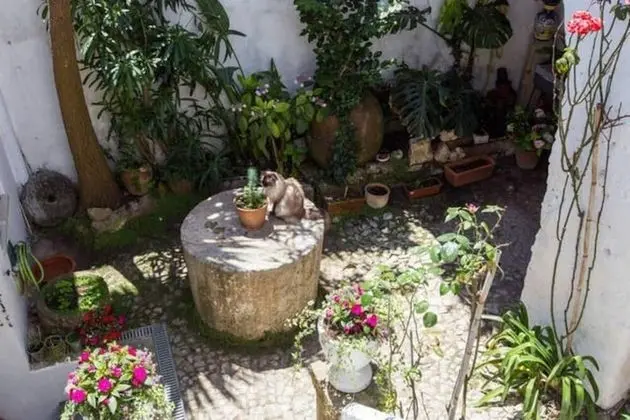 Ev, Birden Çok Yatak