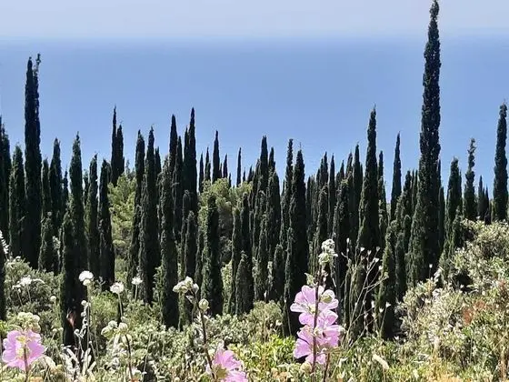 Ev (Four Bedroom Villa with Terrace and S)