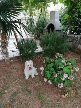 Apart Daire (One Bedroom Apartment with Terrace an)