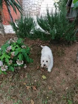 Apart Daire (One Bedroom Apartment with Terrace an)