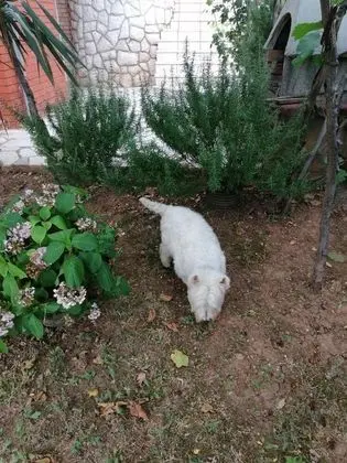 Apart Daire (One Bedroom Apartment with Terrace an)