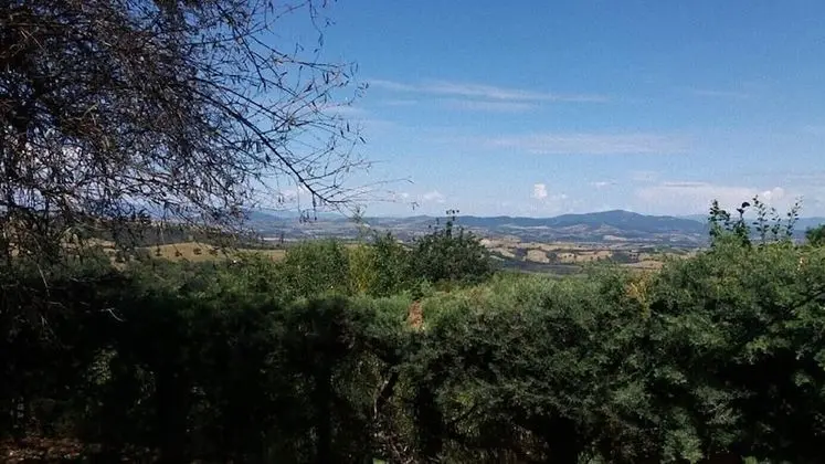 Ev, 2 Yatak Odası, Şömine