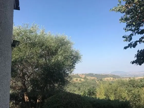 Ev, 2 Yatak Odası, Şömine