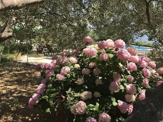 Ev, 2 Yatak Odası, Şömine