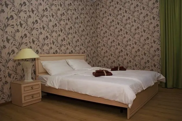 Deluxe Apart Daire, 1 En Büyük (King) Boy Yatak, Mutfak