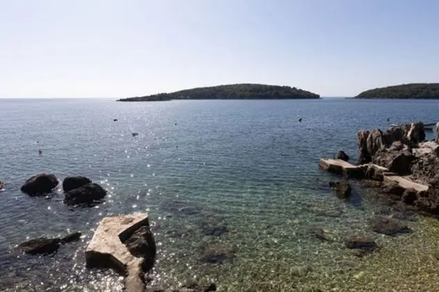 Apart Daire (One Bedroom Apartment)