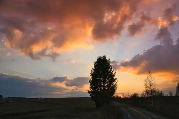 Ev, 2 Yatak Odası, Teras